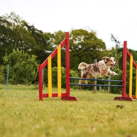 Hof Koehne - Haus An Der Weide Links Feriehus *