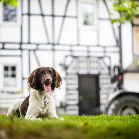 Feriehus Hof Koehne - Haus An Der Weide Links *