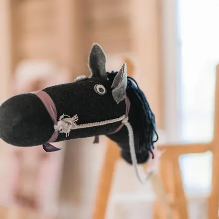 Hof Koehne - Haus An Der Weide Links *