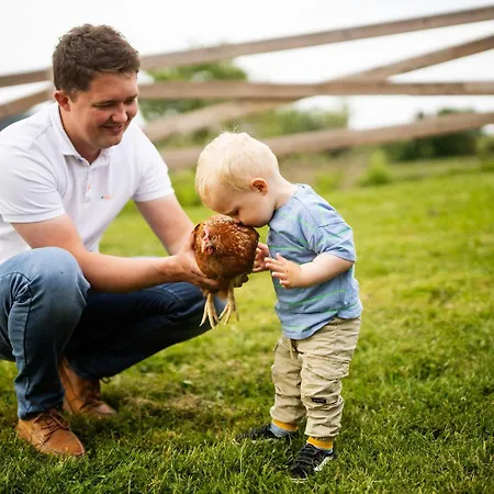 Feriehus Hof Koehne - Haus An Der Weide Links Schmallenberg