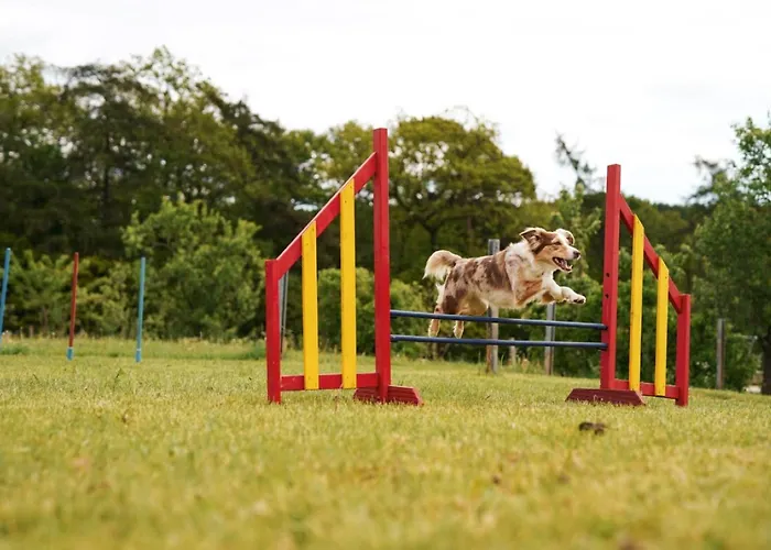 Hof Koehne - Haus An Der Weide Links Vakantiehuis *