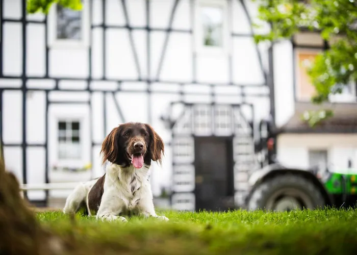 Vakantiehuis Hof Koehne - Haus An Der Weide Links *