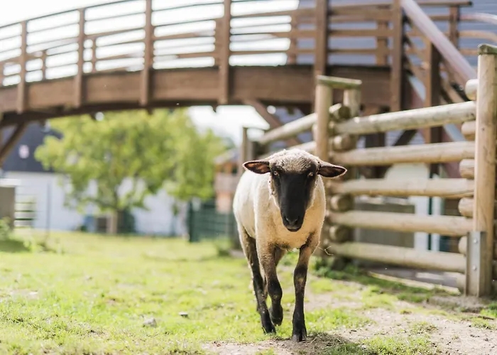 Hof Koehne - Haus An Der Weide Links Vakantiehuis Schmallenberg