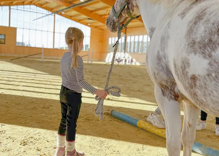 Vakantiehuis Hof Koehne - Haus An Der Weide Links *
